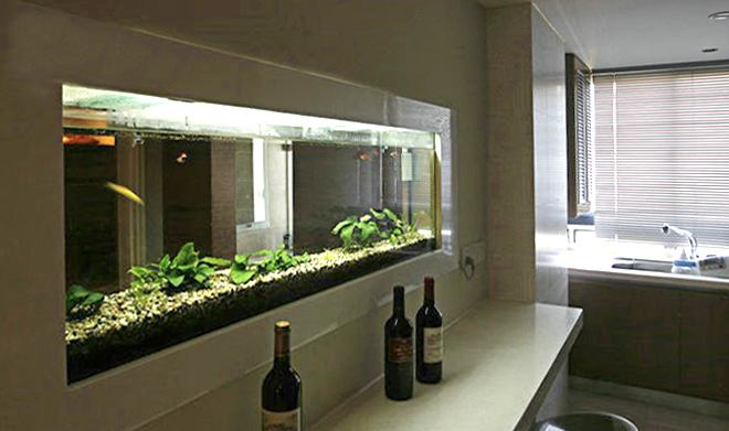 嵌入式鱼缸|施工要点